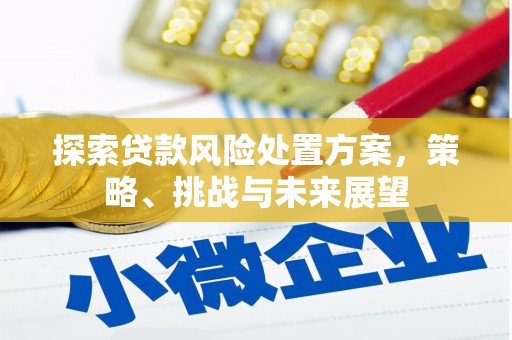 泰山探索贷款风险处置方案，策略、挑战与未来展望