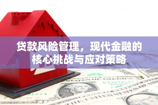 纳雍贷款风险管理，现代金融的核心挑战与应对策略