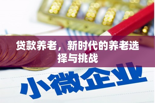 金湖贷款养老，新时代的养老选择与挑战