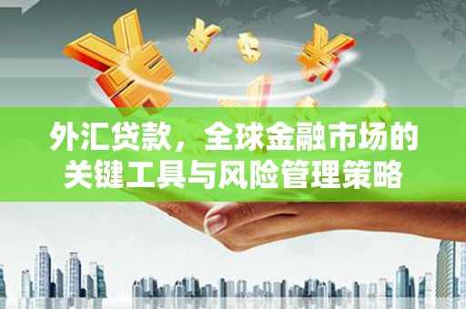 潜山外汇贷款，全球金融市场的关键工具与风险管理策略