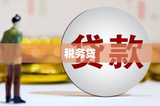 新竹税务贷
