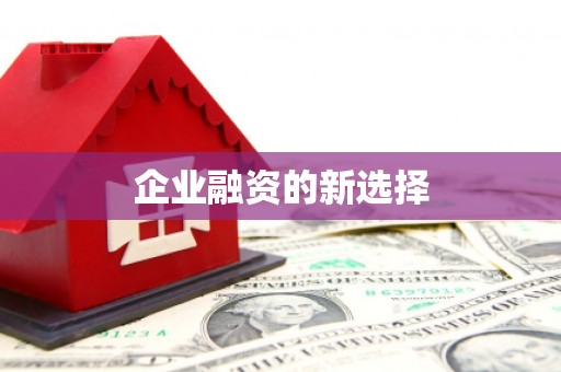 廉江企业融资的新选择