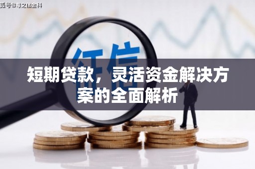 塔城短期贷款，灵活资金解决方案的全面解析