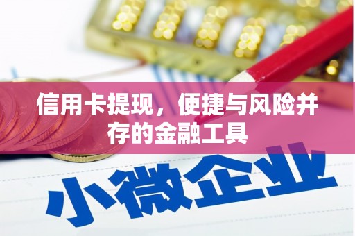 新埔信用卡提现，便捷与风险并存的金融工具