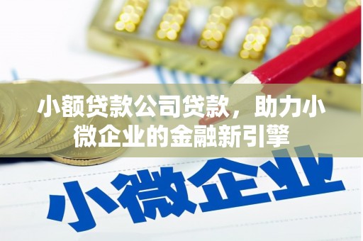 泾阳小额贷款公司贷款，助力小微企业的金融新引擎