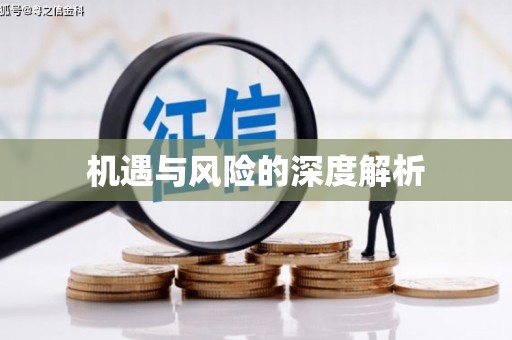 江孜机遇与风险的深度解析