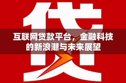 金秀互联网贷款平台，金融科技的新浪潮与未来展望