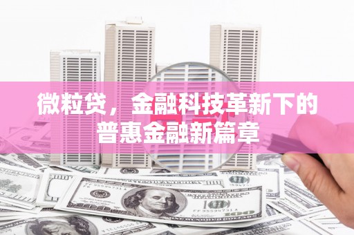 萝北微粒贷，金融科技革新下的普惠金融新篇章