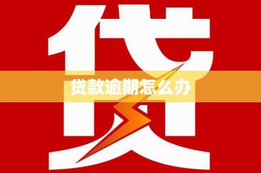 丰原贷款逾期怎么办
