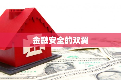 海州金融安全的双翼
