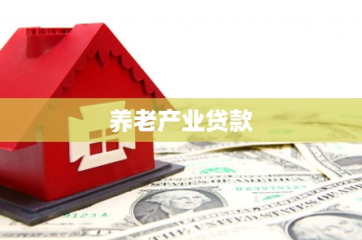 红寺堡养老产业贷款