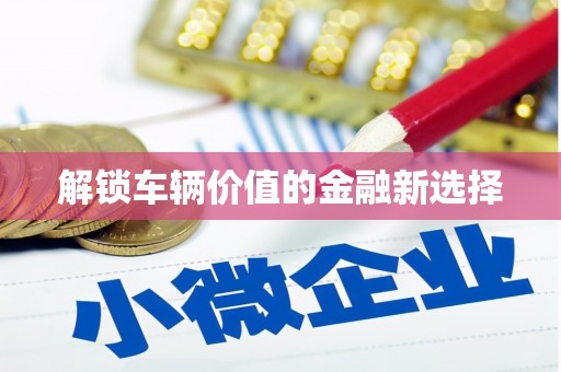 江口解锁车辆价值的金融新选择