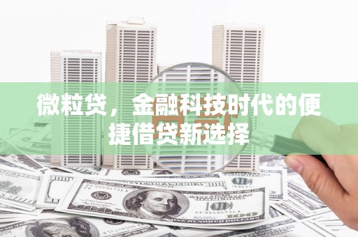 勐海微粒贷，金融科技时代的便捷借贷新选择