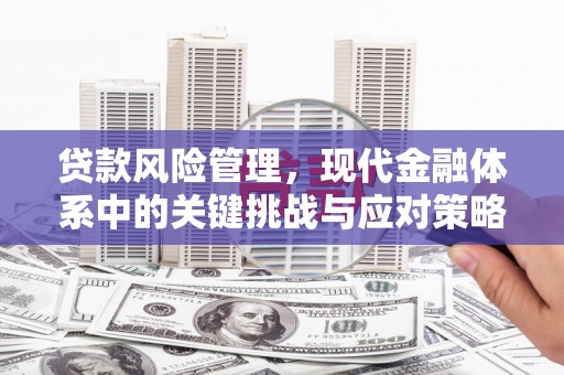 弋阳贷款风险管理，现代金融体系中的关键挑战与应对策略