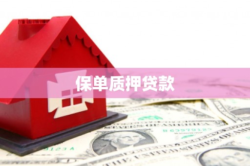 中区保单质押贷款
