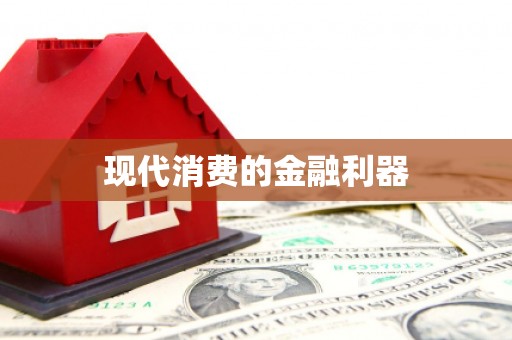 永善现代消费的金融利器