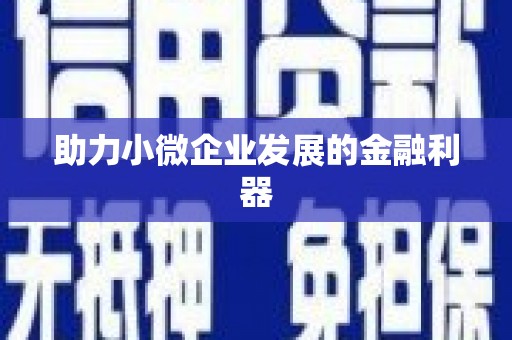 定海助力小微企业发展的金融利器