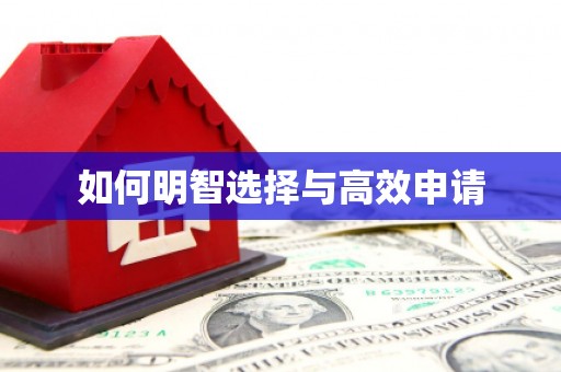 天津如何明智选择与高效申请
