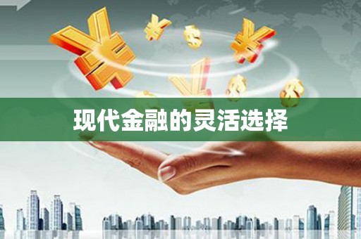 恒山现代金融的灵活选择