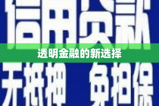 西吉透明金融的新选择