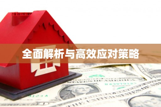 乐陵全面解析与高效应对策略