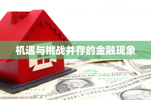 朔城机遇与挑战并存的金融现象