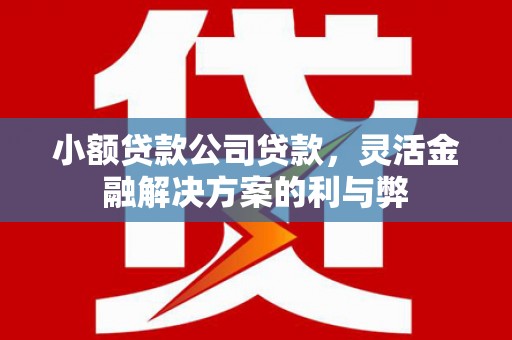 威宁小额贷款公司贷款，灵活金融解决方案的利与弊