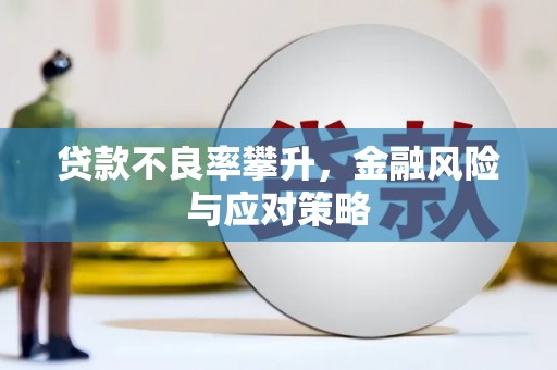 鹤庆贷款不良率攀升，金融风险与应对策略