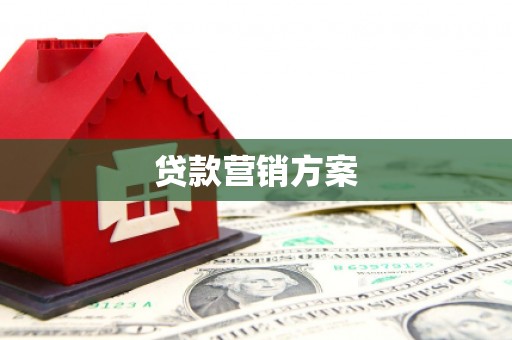乐东贷款营销方案